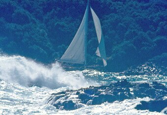 Homeward_bound_crop_340x234