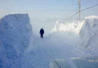 Snowdriftbank_crop_340x234