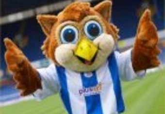 Owl_crop_340x234