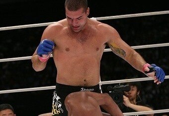 Shogunpride450_crop_340x234