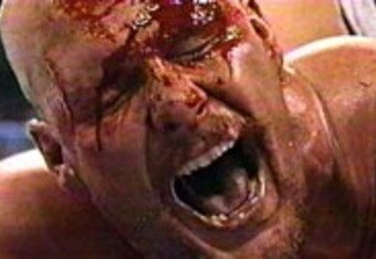 Wrestlemania13_crop_340x234