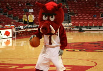 Mascot_cropped