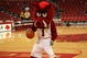 Mascot_medium