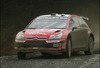 Loeb_crop_100x68
