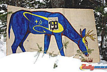 Sno_drift_deer_feature