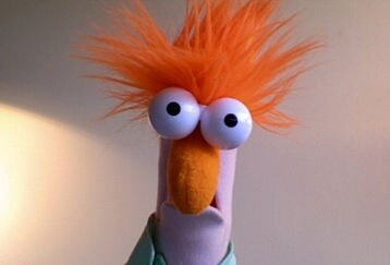 Themuppetsbeeker_feature
