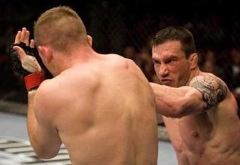 Starnes2_crop_340x234