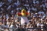 19 Sep 1996:  The 'Famous Chicken' of the San Diego Padres pleads with the umpire from the stands after making a call behind the plate during a play in the Padres 7-0 loss to the Los Angeles Dodgers at Jack Murphy Stadium in San Diego, California.  Mandat