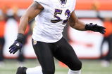 CINCINNATI - NOVEMBER 30:  Ray Lewis #52 of the Baltimore Ravens looks to make a defensive play during their NFL game against the Cincinnati Bengals on November 30, 2008 at Paul Brown Stadium in Cincinnati, Ohio. The Ravens defeated the Bengals 34-3.(Photo by Andy Lyons/Getty Images)