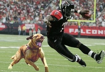 Vickdog_crop_340x234