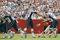 93769_small