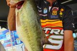 Kvd-kentucky-lake_more_feature
