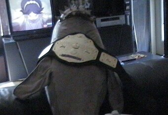 Dvc00064_crop_340x234