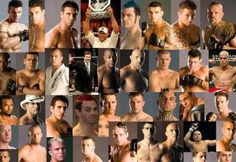 Ufc_crop_340x234