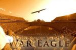 Eagle_crop_150x100