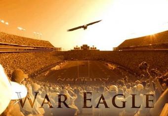 Eagle_crop_340x234