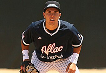 Erichosmer_crop_340x234