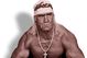 Wwe_hulk_hogan_medium