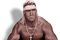 Wwe_hulk_hogan_small