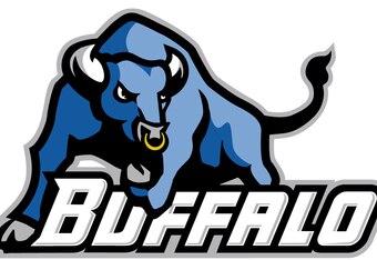 Ubbulls_crop_340x234