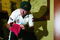 16689_small