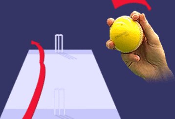 _38099316_leg_spinner_feature