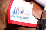 LOUISVILLE, KY - MAY 03:  A detail of a saddle cloth with the 134th Kentucky Derby logo on it is seen durinng the 134th running of the Kentucky Derby on May 3, 2008 at Churchill Downs in Louisville, Kentucky.  (Photo by Andy Lyons/Getty Images)