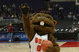 LOS ANGELES - MARCH 11: The Oregon State Beavers mascot performs during the 2005 Pacific Life Pac-10 Men's Basketball Tournament semi final Game 1 against the University of Arizona Wildcats at Staples Center on March 11, 2005 in Los Angeles, California. The Wildcats defeated the Beavers 90-59. (Photo by Stephen Dunn/Getty Images)