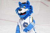 BRIDGEPORT, CT - DECEMBER 4:  The Bridgeport Sound Tigers mascot performs during the game against the Hartford Wolf Pack at the Arena at Harbor Yard on December 4, 2005 in Bridgeport, Connecticut. Hartford won 5-3.  (Photo by Mike Stobe/Getty Images)