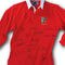 British_lions_rugby_shirt_crop_60x60