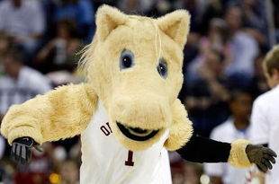 MEMPHIS, TN - MARCH 27:  The Oklahoma Sooners mascot performs during a break in the game against the Syracuse Orange during the NCAA Men's Basketball Tournament South Regionals at the FedExForum on March 27, 2009 in Memphis, Tennessee.  (Photo by Joe Murphy/Getty Images)