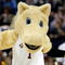 MEMPHIS, TN - MARCH 27:  The Oklahoma Sooners mascot performs during a break in the game against the Syracuse Orange during the NCAA Men's Basketball Tournament South Regionals at the FedExForum on March 27, 2009 in Memphis, Tennessee.  (Photo by Joe Murphy/Getty Images)