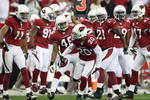 GLENDALE, AZ - JANUARY 03:  Ralph Brown #20 of the Arizona Cardinals celebrates with teammates after a first quarter interception against the Atlanta Falcons during the NFC Wild Card Game on January 3, 2009 at University of Phoenix Stadium in Glendale, Arizona.  The Cardinals defeated the Falcons 30-24. (Photo by Jed Jacobsohn/Getty Images)