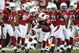 GLENDALE, AZ - JANUARY 03: Ralph Brown #20 of the Arizona Cardinals celebrates with teammates after a first quarter interception against the Atlanta Falcons during the NFC Wild Card Game on January 3, 2009 at University of Phoenix Stadium in Glendale, Arizona. The Cardinals defeated the Falcons 30-24. (Photo by Jed Jacobsohn/Getty Images)