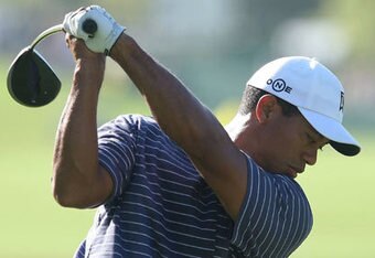 Tiger2_crop_340x234