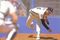 Ryan_nolan_05_small