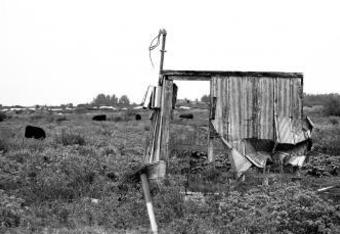 Shack_crop_340x234
