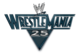 Wwe_wm25_b_medium