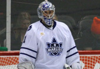 Pogge_crop_340x234
