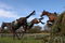 LIVERPOOL, UNITED KINGDOM - APRIL 04:  Three riderless horses, Black Appalachi (L), Cloudy Lane and Himalayan Trail lead at the 4th last during the John Smiths Grand National at intree racecourse on April 4, 2009 in Liverpool, England.  (Photo by Mike Hewitt/Getty Images)