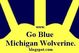 Gobluemichiganwolverine_webpage_medium
