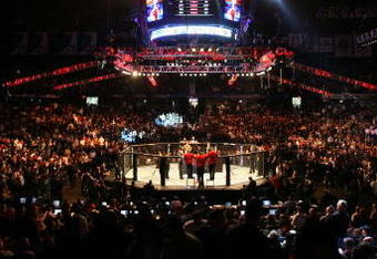 CHICAGO- OCTOBER 25:  People attend the UFC 90 at UFC's Ultimate Fight Night at Allstate Arena on October 25, 2008 in Chicago, Illinois. (Photo by Tasos Katopodis/Getty Images)