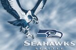 Seahawks_motion_1600x1200_crop_150x100