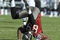 TAMPA, FL - DECEMBER 28: Wide receiver Antonio Bryant #89 of the Tampa Bay Buccaneers tumbles after a midfield catch against the Oakland Raiders at Raymond James Stadium on December 28, 2008 in Tampa, Florida.  (Photo by Al Messerschmidt/Getty Images)