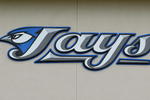 DUNEDIN, FL- MARCH 1:  A general view of the new Toronto Blue Jays logo taken during Photo Day at their spring training facility on March 1, 2004 in Duneiden, Florida . (Photo by Jed Jacobsohn/Getty Images)