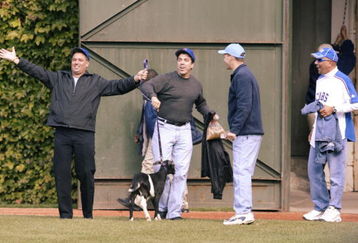 CHICAGO - OCTOBER 4:  A live goat is brought onto the field to 'remove a curse' placed on the Cubs during their last World Series appearence in 1945 before the Atlanta Braves take on the Chicago Cubs during game four of their National League Division Series October 4, 2003 at Wrigley Field in Chicago, Illinois.   (Photo by Brian Bahr/Getty Images)
