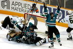 SAN JOSE, CA - APRIL 25:  Torrey Mitchell #17 of the San Jose Sharks celebrates after Jonathan Cheechoo #14 scored the game tying goal against the Dallas Stars during game one of the Western Conference Semifinals of the 2008 NHL Stanley Cup Playoffs at HP Pavilion on April 25, 2008 in San Jose, California.  (Photo by Christian Petersen/Getty Images)