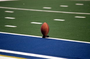 1 May 2000:  A shot of a football on the tee during the Arena Football game between the Oklahoma Wranglers and the Los Angeles Avengers at the Staples Center in Los Angeles, California.  The Wranglers defeated the Avengers 59-33.Mandatory Credit: Kellie Landis  /Allsport