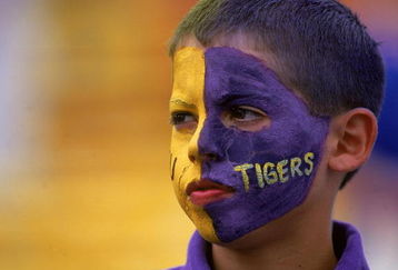 17 Jun 2000:  A close up of a fan of the Louisiana State Tigers as he looks on during the College World Series Game against the Stanford Cardinal at Rosenblatt Stadium in Omaha, Nebraska.  The Tigers defeated the Cardinal 6-5.Mandatory Credit: Andy Lyons  /Allsport