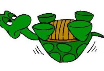 Turtle9_crop_340x234